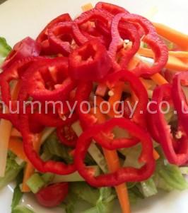 An eye-catching mix of salad leaves, carrot, cucumber, tomatoes and red peppers.